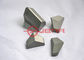 Raw Material Tungsten Carbide Products Cemented Carbide Shield Cutter supplier